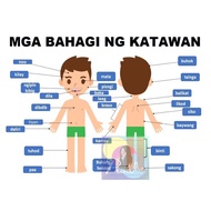 Body parts Tagalog English Laminated waterproof Parts of the body