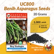 Benih Asparagus Soon Huat Seeds(It's a seed, not a plant!)