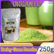 Organic Barley Grass Powder original 250g barley grass official store pure organic barley Antioxidant-Rich, Energy Booster Organic Grass Powder