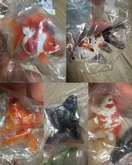 至平清貨價 全新  YUJIN 原色鑑賞魚圖鑑 第一代 金魚 觀賞魚 扭蛋 散款 共13條（不散售)