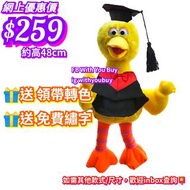 #bigbird畢業公仔 #芝麻街公仔 #芝麻街elmo #芝麻街精品 #SesameStreet公仔 #SesameStreet畢業公仔 #大鳥 #大鳥公仔 #大鳥畢業公仔