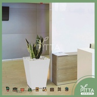 Felton Square Flower Pot 2453/2454 with saucer