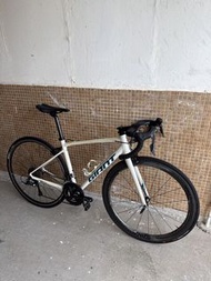 Giant contend 1