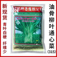 范記315油骨柳葉通心菜空心菜種籽青葉白梗通菜種子 種籽蕹菜蔬菜種子 種籽tbgz