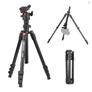 TRIOPO K268 Portable Photography Tripod Stand Aluminum Alloy 360°Panorama Ball Head 162cm/63.8in Max