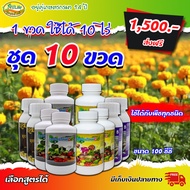 นุชฟอร์ไลฟ์ขนาด100cc 10 ขวดเล็ก /อาหารเสริมพืช / สินค้าเกษตร ปลอดภัย
