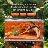 【🐱Pet supplies🐕】 Reptile Pet Crab Transparent Acrylic One-piece Axolotl, Scorpion, Snake Breeding Ec
