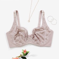 Parifairy Half transparent bra no foam underwire bralette plus size bra cup c 34C 36C .38C 40C 42C 4