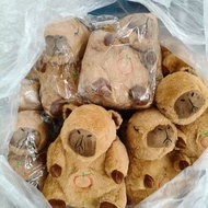 New Products Glowing Music Plush Toy Little Otter Koala Bear Doll Kapibara Breathing Bear Doll 0CEA