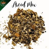 (4L) AROID MIX bydaunketapang