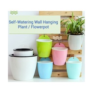 Self Watering Various Color Wall Hanging Flower Pot / Plant Pot/Self Watering Pot / Elegant Design