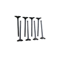 Dongfeng Fengxing Forthing EVO Thunder 4A95TD engine exhaust valve 8pcs MW258291