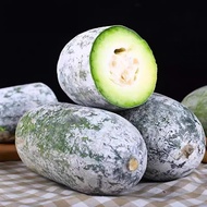 🌱5 Biji Benih🌱Winter Melon Kundur 冬瓜种子