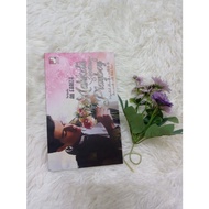 Novel Mahkota Seorang Playboy - Aii Fariza