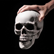 <PT>DAPHNE 1PC All Size Human Skeleton Terrible Halloween Props Skull Head Party Decoration Home Dec