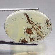 พลอย โอปอล ต้นไม้ ธรรมชาติ แท้ ( Unheated Natural Dendrite Dendritic Opal ) 8.73 กะรัต