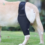 Pet Dog Hip Brace Professional Dog Leg Support Brace For Puppy