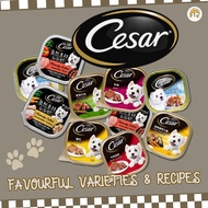 Cesar Dog Wet Food (24 Packs)