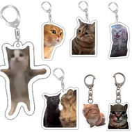 Funny Cat Meme Keychain Acrylic Mica Decoration Bookbag Handbag Huh Cat Confused Cat Cat Shy Cat Gif