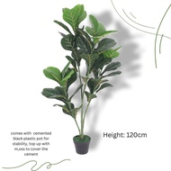 Fiddle Fig plant 120cm artificial, home, decor, Aplant590