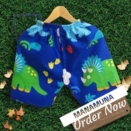 Children's Underpants/Boys/Side Pockets/Double stick Back Sewing/Age 1-13 Years