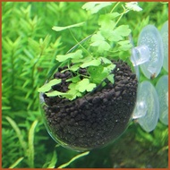 Aquarium Plant Cup Holder Glass Aquatic Plant Pot with Suction Cups Live Plants Fish Tank Holder Aquatic Planter tingwsg tingwsg