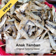 💥💝TOP 🌟 ANAK TAMBAN IKAN KERING TANJUNG DAWAI 💖 💝