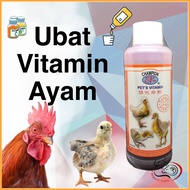 SK CHAMPION Vitamin Ayam ubat ayam anpicine 707 ubat puru ayam ubat haiwan chicken vitamin