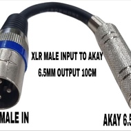 XLR MALE INPUT TO AKAY CONNECTOR 6.5MM OUTPUT 10CM Audio Cable with Length 10 Cm
