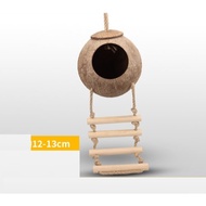 Sarang Burung Kelapa dengan tangga Bird Decor Hamster Coconut Shell Nest The Birds Nest Natural Wood