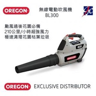 OREGON - 無線電動吹風機 BL300-A6,
