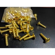 100 PC Bolts Only GOLD SCREWS Body Screws VARIO 4X16 GOLD Worm Honda matic