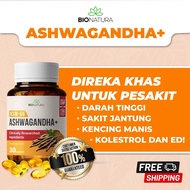 [DIJAMIN ORIGINAL 🔥] ASHWAGANDHA+ KSM-66 SOFT GEL / ASHWAGANDHA KAPSUL SOFTGEL