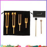 4Pcs Tuning Fork Set Tuning Fork (4096C, MI528, 128C, OM136.1),Body Tuning Forks for Chakra Set, Sou