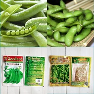 日本毛豆台选甜豌豆荷兰豆豆苗蔬菜种子彩包 Edamame Vegetable Seeds Kacang Soya Hijau Jepun Taiwan Biji Benih
