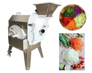 เครื่องสับมะละกอ หั่นมะละกอ หั่นเส้นฝอย Papaya Chopper Papaya Cutting Machine