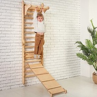 3 合 1 套裝瑞典木牆/攀爬梯 + 鞦韆套裝 + 滑板