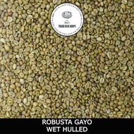 h1344 GREEN BEAN ROBUSTA GAYO GRADE 1 BIJI KOPI MENTAH - 1 KG