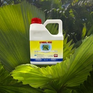 4L HEXTAR SYMBOL 45 SC ametryn 45% RACUN RUMPUT SAMBAU