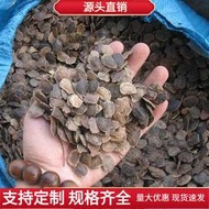 現貨 批發批發黃花梨種子 種籽 海南黃花梨種子 種籽 降香黃檀木黃花梨木種子 種籽包郵lzh