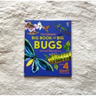 ️Big Book of Big Bugs