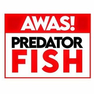 Predator Fish Sticker | Fish Hobbies