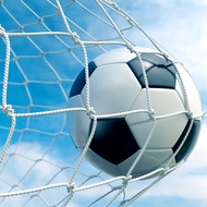 24X8FT Full Size Soccer Goal Net Sports Football Post Netting Training Backyard