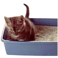 Cat litter box Cat litter box Cat litter box