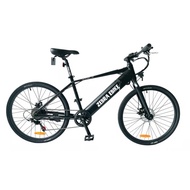 Zebra Model M Electric Bicycle | LTA APPROVED