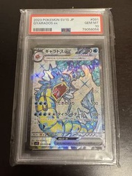 Psa10  鯉魚龍