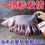 [Does Not Hurt the Female Pig] Female Pig Quick Temptation Agent Spray Promotes Egg Temptation Pig w