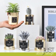 Sintetik Hiasan Plastik Mini Potted Artificial Fake Plant Decoration Indoor Flower Cactus 仿真人造植物