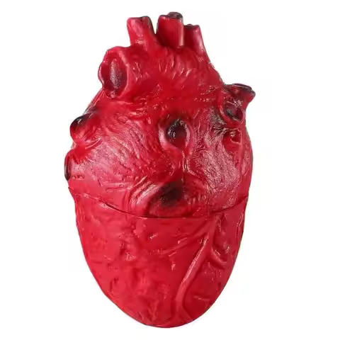 Realistic Human Heart Props for Halloween Decorations Eerie Body Parts Model E56E