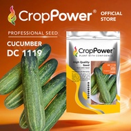 (100 GRAM) Biji Benih Timun DC1119 CROP POWER F1 Hybrid Cucumber Seeds  黄瓜种子 DC 1119